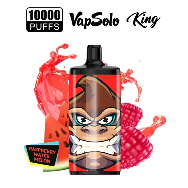 Vapsolo King 10000 Puffs Vape Pen 17