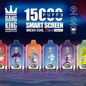 Top-Quality BANG King 15000 Puffs LED 15K Wholesale Disposable Vape 25ml 650mAh Direct from Factory (12)