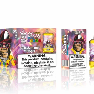 Top-Quality Bang King 20000 Puffs 20K Wholesale Disposable Vape 25ml 650mAh Direct from Factory (13)