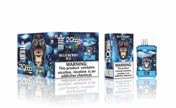 Top qualité Bang King 20000 Puffs 20K Vape jetable en gros 25 ml 650 mAh directement de l'usine à 9 échelles