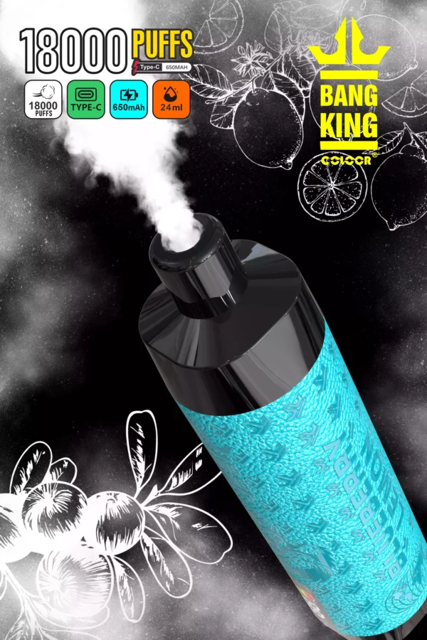 Vente en gros BANG 18000 Puffs DTL Screen 25ml Type C Vapes jetables pour les commandes en gros à 14 échelles