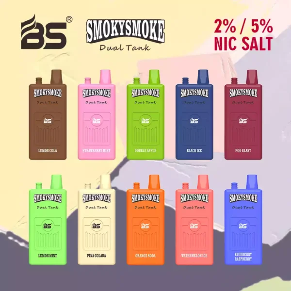 Brandneues Modell BREZE BS Smoky 16000 Puffs 16K 2% 5% Nikotin 650 mAh Einweg-Vapes Großhandel aus Fabrikquelle (14)