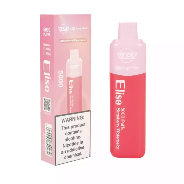 Vasy Elise 5000 soffi monouso Vape all'ingrosso 0 2 5 Nicotina 13 ml Ordine diretto in fabbrica con garanzia di qualità 10