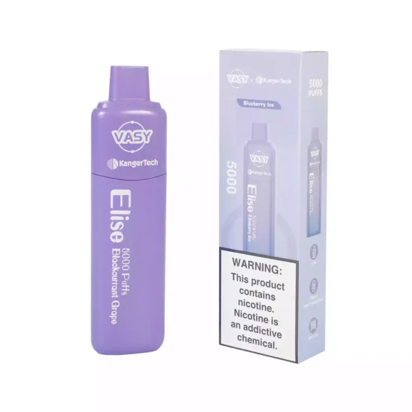 Vasy Elise 5000 soffi monouso Vape all'ingrosso 0 2 5 Nicotina 13 ml Ordine diretto in fabbrica con garanzia di qualità 13