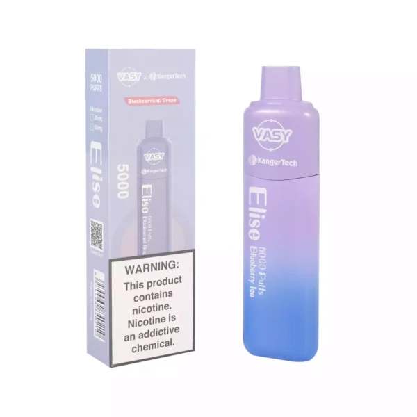 Vasy Elise 5000 soffi monouso Vape all'ingrosso 0 2 5 Nicotina 13 ml Ordine diretto in fabbrica con garanzia di qualità 14