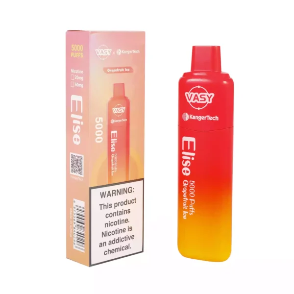 Vasy Elise 5000 soffi monouso Vape all'ingrosso 0 2 5 Nicotina 13 ml Ordine diretto in fabbrica con garanzia di qualità 2