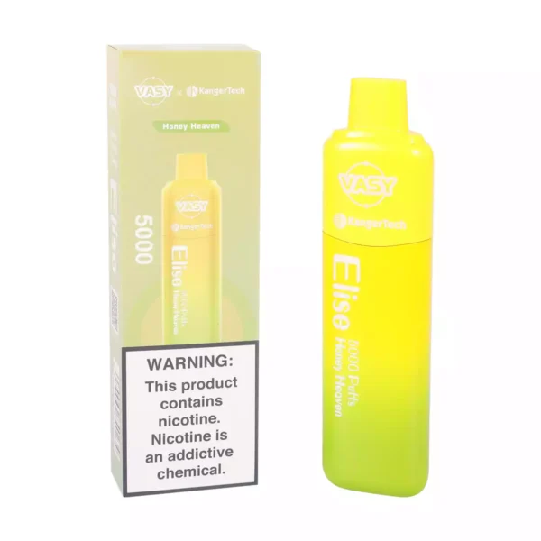 Vasy Elise 5000 soffi monouso Vape all'ingrosso 0 2 5 Nicotina 13 ml Ordine diretto in fabbrica con garanzia di qualità 4