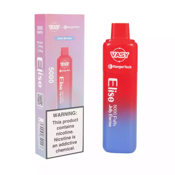 Vasy Elise 5000 soffi monouso Vape all'ingrosso 0 2 5 Nicotina 13 ml Ordine diretto in fabbrica con garanzia di qualità 5