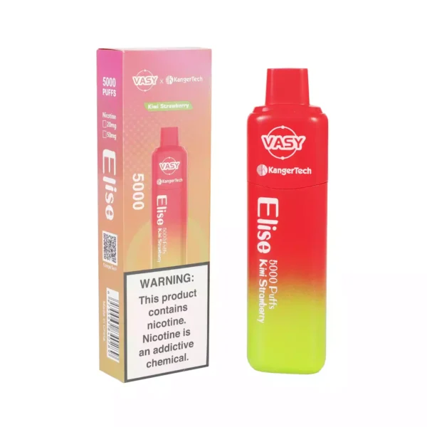 Vasy Elise 5000 soffi monouso Vape all'ingrosso 0 2 5 Nicotina 13 ml Ordine diretto in fabbrica con garanzia di qualità 6