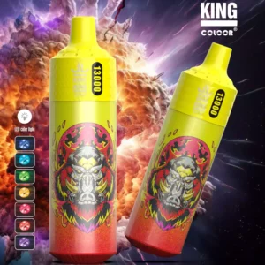 Newest Bang King B13K 13000 Puffs Easy-to-Use Disposable Vape Direct Supplier Wholesale 1